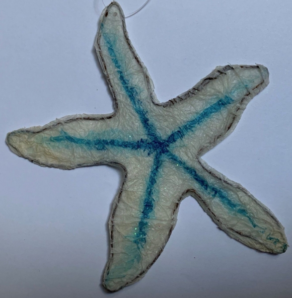 Krepp-Seestern weiss-blau